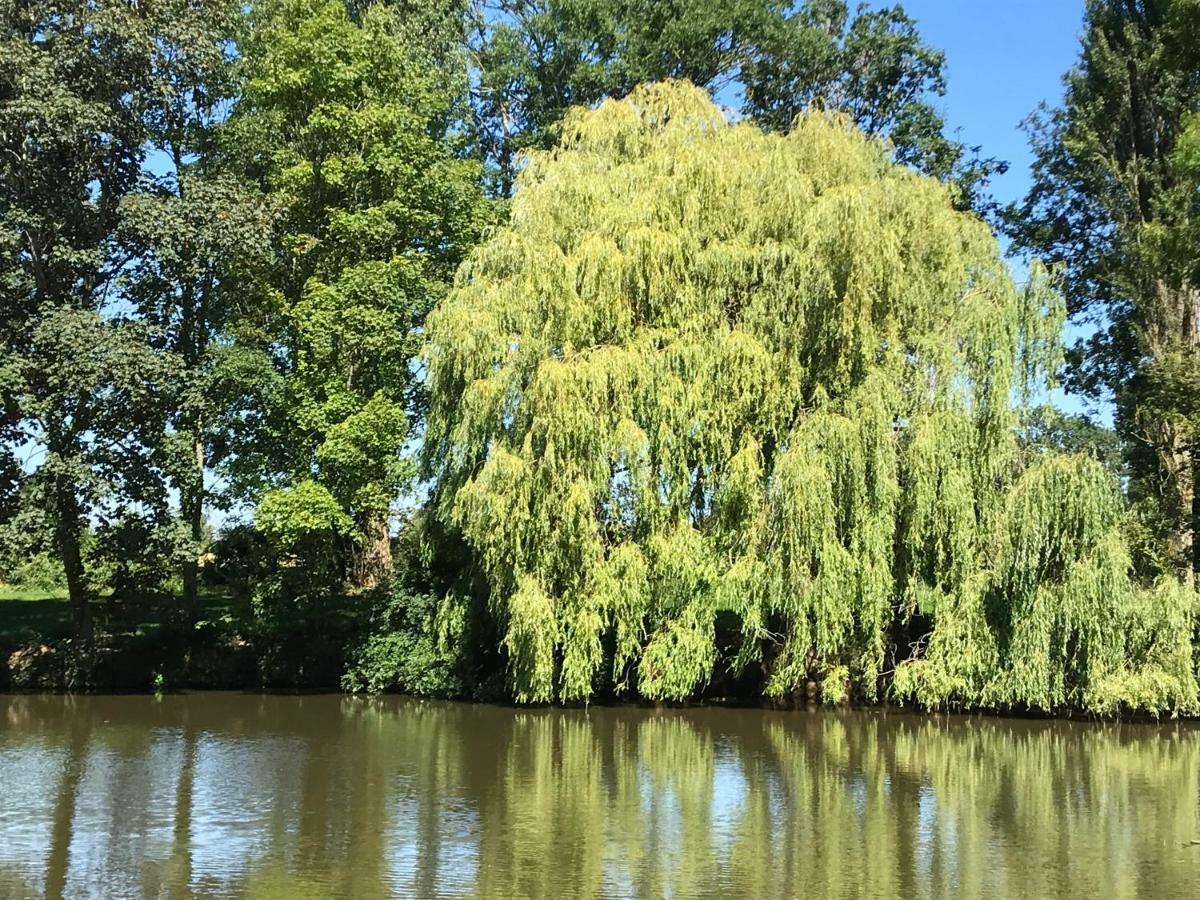 Gite De L Etang Du Moulin Du Pre Bavent Exterior foto